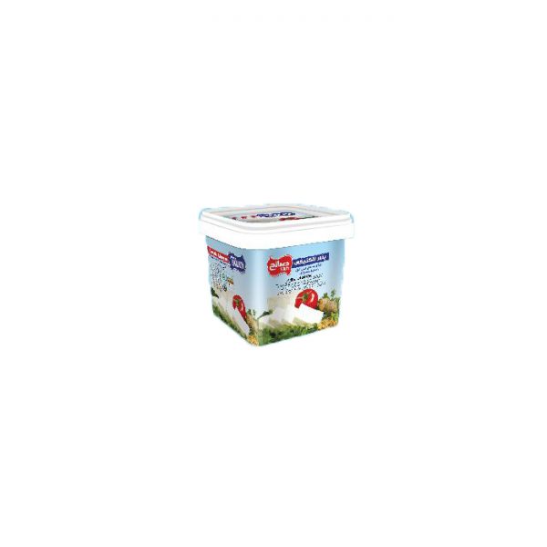 پنیر سطلی لاکتیکی 370 گرمی صالح(IML)