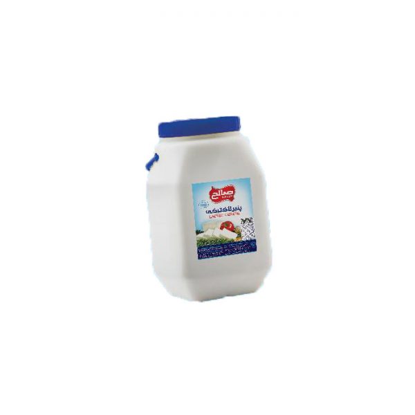 پنیر دبه لاکتیکی صالح
